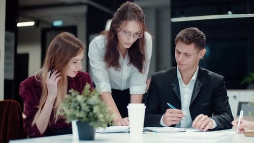 Young Adults Collaborate at a Modern Office Meeting