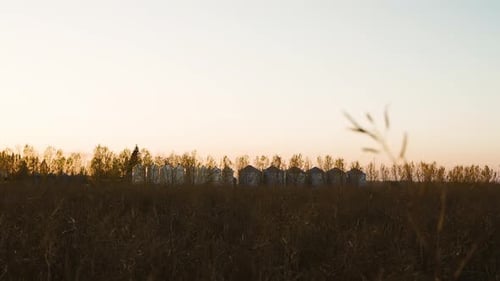 Sunset Over Agricultural Land With Large Silo Containers. Static Shot
