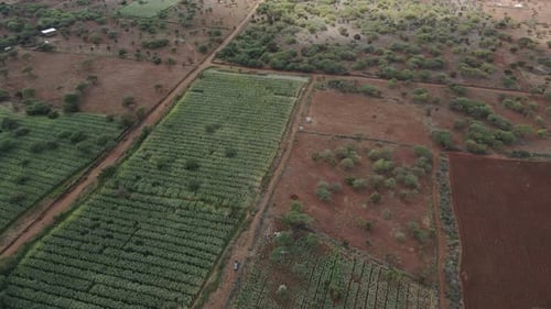 Tranquil landscape of African farmland in Southern Kenya, aerial view