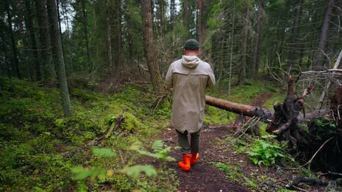 Young Adult Man In Rubber Boots Walking Alone In Forest In Autumn Back View Slow Motion