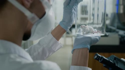 Lab Technician Holds Mouse in Research Container