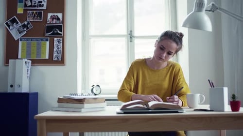 Young Woman Studies at Desk by Window
