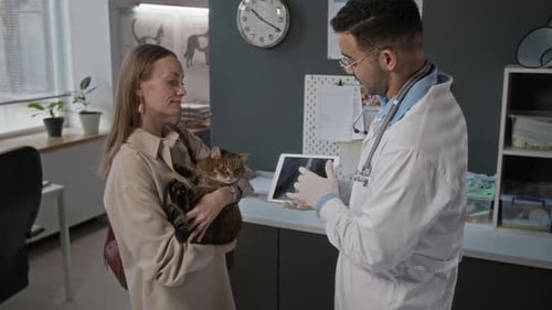 Veterinarian Discusses Cat's X-ray with Owner
