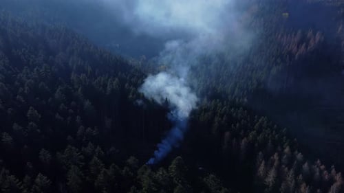Aerial isolated view of a forest area with lumberjack burning wood making a fire with smoke in the m