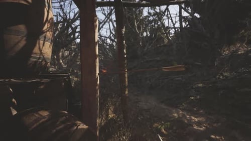 A Hidden Archery Target Rest in the Woods During a Bright Afternoon Outside