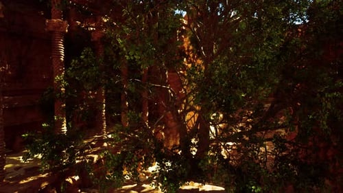 A Narrow Alley with a Tree in the Middle of It
