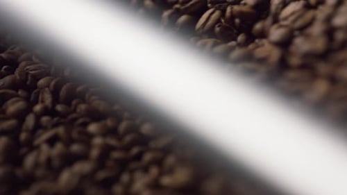 Coffee Beans Mixing in Machine Close Up