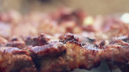 Fleisch auf dem Grill. Schaschlik am Spieß kochen. Schweinefleisch auf heißer Holzkohle kochen. Nahaufnahme von Trad...