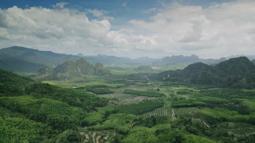 Amazing Shot Of Tropical Rain Forest Khao Sok Thailand