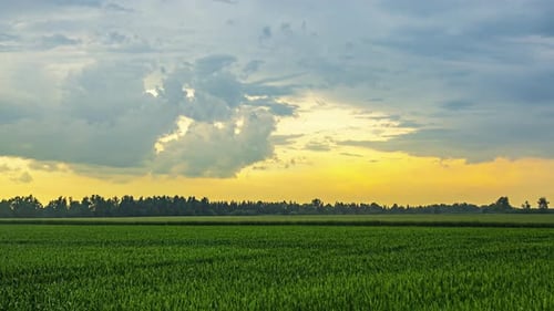 Relaxing landscape of a green agricultural field with a bright sky with sun and clouds at sunset
