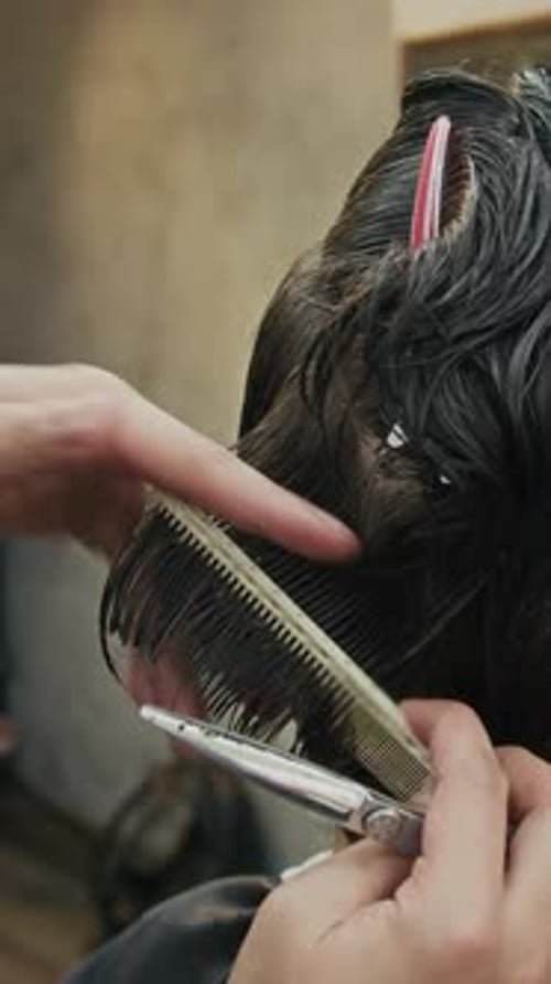 Cutting Wet Dark Hair in a Salon, Close Up