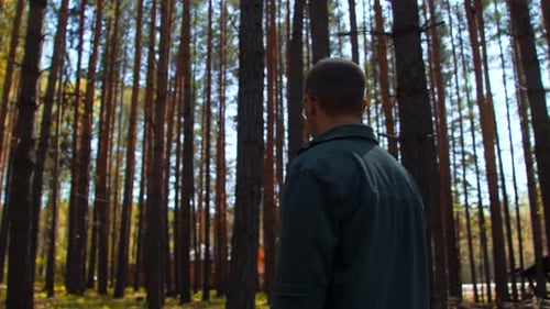 Person geht in einem Wald spazieren