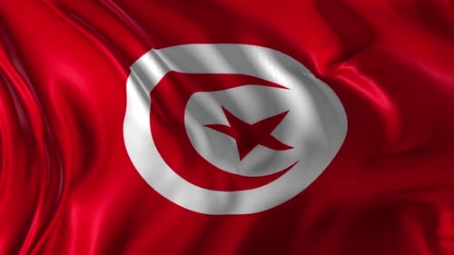 Realistic Waving Flag of Tunisia Seamless Loop