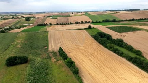 Vue aérienne des récoltes dorées dans les vastes champs.