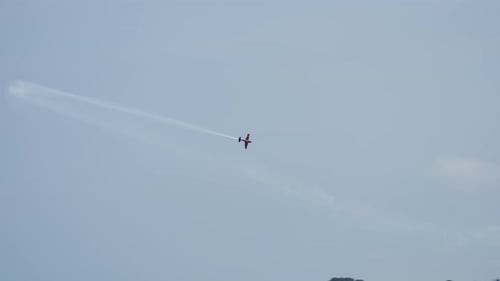 Airplane Flying Low Over Beach with Crowd
