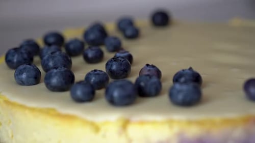 Decorating Delicious Cake with Fresh Blueberries