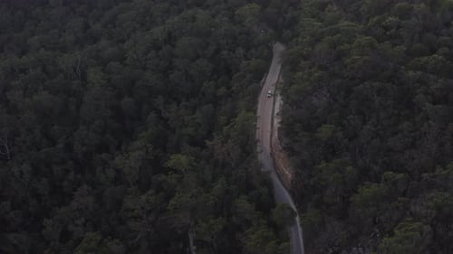 Aerial: Drone shot of Two vehicles driving down a winding road through the forest