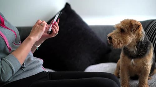 Woman Relaxing on Couch with Dog and Smartphone