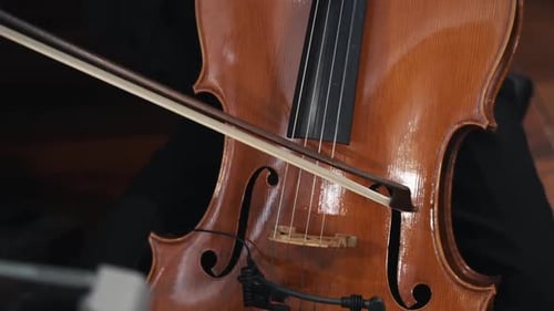 Cello Bowing Close Up