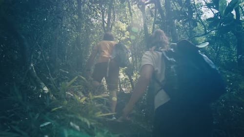 Couple Hiking in the Forest