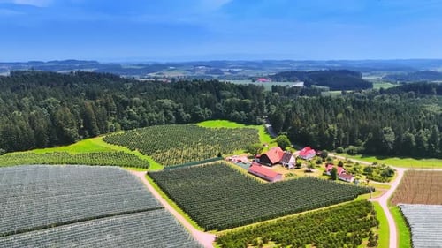 Flight over the farm with several agricultural fields. Stunning nature landscape on sunny day.