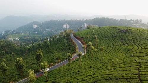 Vue aérienne de la beauté naturelle du Kerala, Inde
