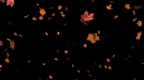 Maple Blast HD