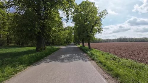Dirija na estrada através de árvores verdes exuberantes em um dia ensolarado First Point View