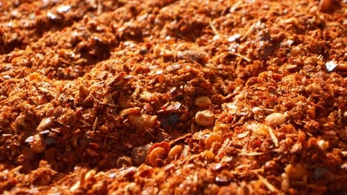 A close-up showcases a Ground chilli.