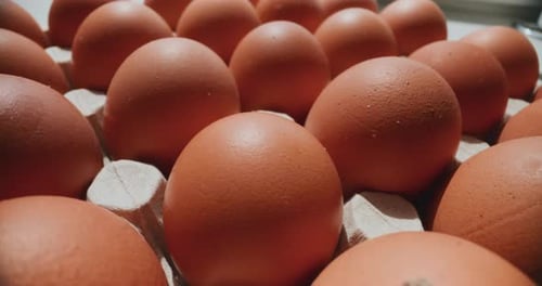 CloseUp of Chicken Eggs in a Punnet