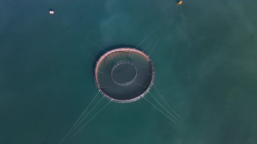 Aerial View of Fish Farm in Dark Ocean Waters