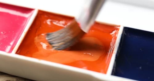 Watercolor Paints Being Mixed with a Brush Close-up