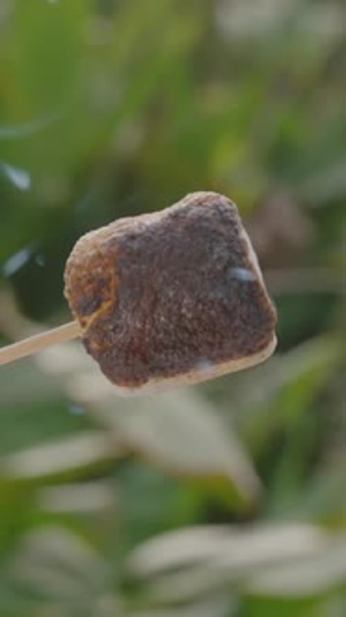 Vertical video. Burnt Marshmallow Rotating Slowly with Charred Texture and Smoke in Green Outdoor