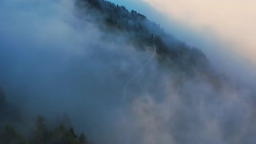 Misty Mountain Forest Aerial View at Golden Hour
