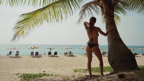 Girl in Bikini Walks Along Palms Beach Beautiful Slender Girl Admire View Beach on Island Under Palm