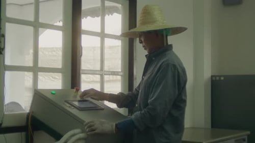 Farmer Checking Hemp Plants in a Greenhouse