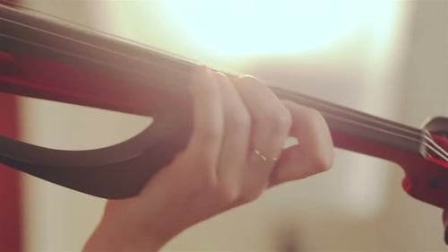 Close Up View of Girl Playing a Violin Showing Detail