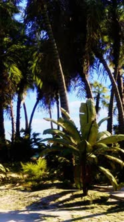A Tropical Beach with Palm Trees and Clear Blue Skies