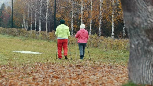 Seniors Nordic walking in autumn park landscape