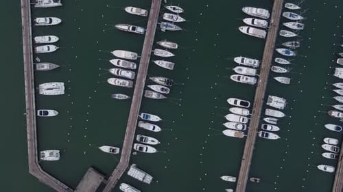birds eye view of the marina and all moored boats and yachts of punta del este in uruguay