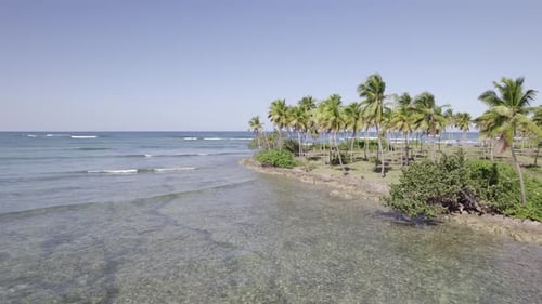 Ocean waves crash gently above shallow reef flats below Palm tree grove, Asserradero Samana Dominica