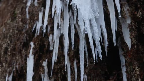 Melting Glacier and Icicles