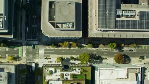 Cinematic And Beautiful View Of Washington DC Cityscape, USA