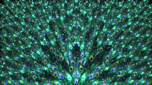 Vibrant Glowing Peacock Feather Fan Background Loop