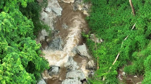 Ein schaumiges Flusswasser, das zwischen Felsen und lebendigem Grün wirbelt.