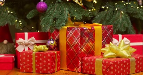 Christmas Presents Under a Decorated Tree