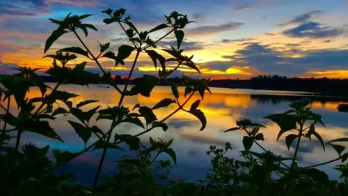 The beautiful sunset over the calm waters of the lake makes for a perfect view