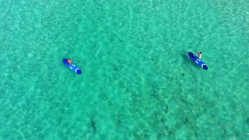 Ocean, adventure and people paddle boarding from drone with blue water, freedom