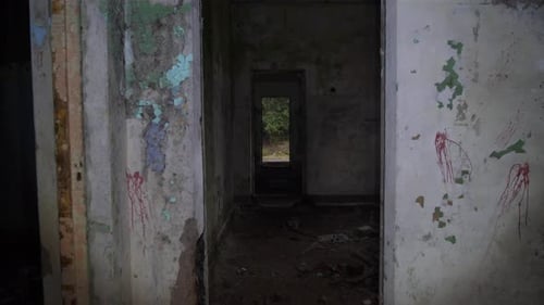 Abandoned Forest Corridor Decayfilled Hallway Overlooking Woods Deserted Passageway Revealing Face