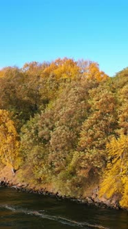 Aerial view of autumn forest and river. Aerial view of the river in the wild during the fall season